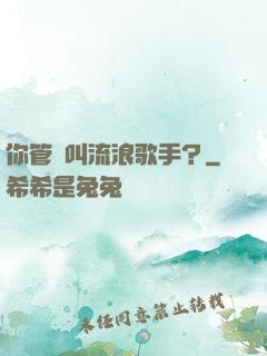 你管這叫流浪歌手？